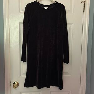 NWOT J. Jill Pure Jill Velour Dress